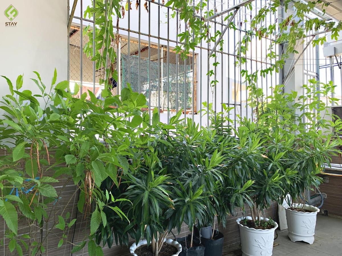 Fstay - Cozy And Peaceful Homestay Ντα Νανγκ Εξωτερικό φωτογραφία